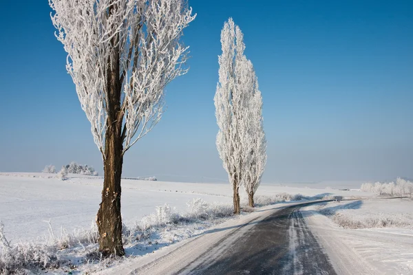 Estrada de inverno — Fotografia de Stock