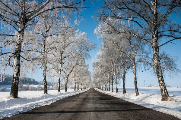 Estrada vazia no inverno — Fotografia de Stock