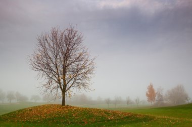 sonbaharda golf sahasında