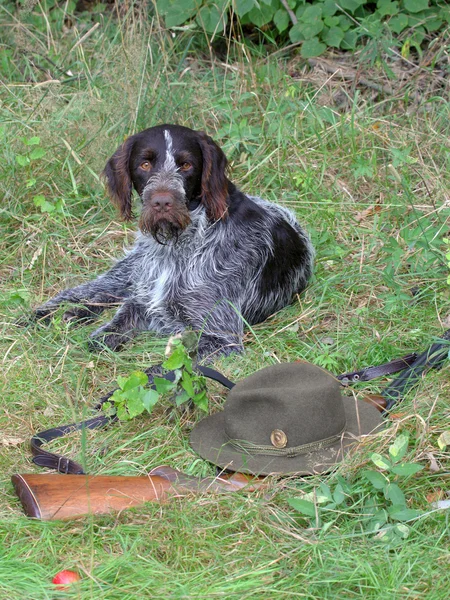 Jakt stilleben — Stockfoto