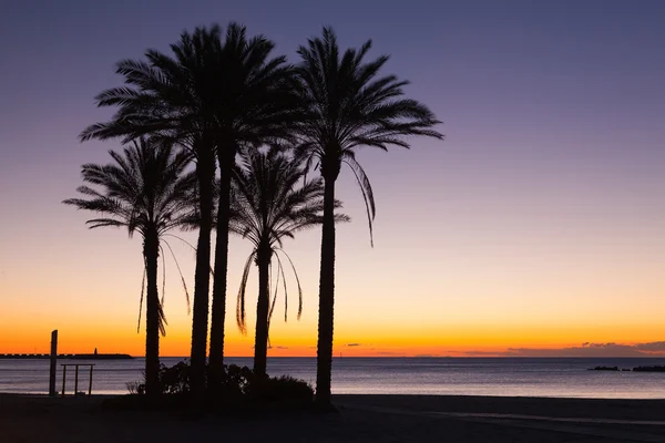 Salida del sol en la playa de Málaga — Foto de Stock