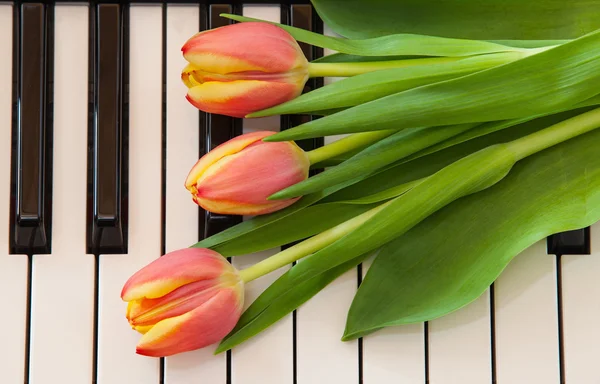 음악과 꽃 — 스톡 사진