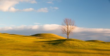 sonbahar golf sahası