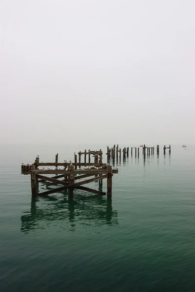 Nella nebbia di sera — Foto Stock