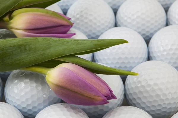 Golf and flowers — Stock Photo, Image