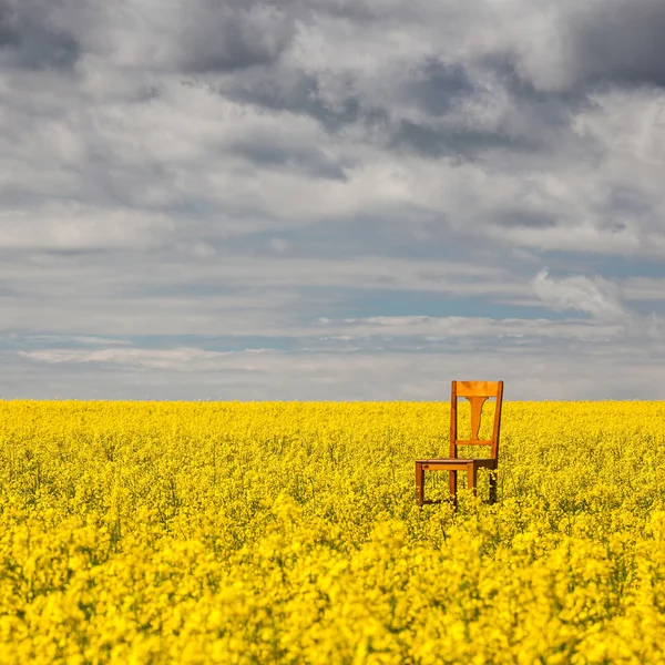 Lonely chair on the empty rape field — Stock Photo, Image