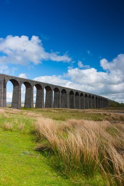 Ribblehead viaduct clipart