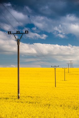 Tecavüz Alanı ve Mavi Gökyüzü