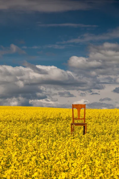 Lonely chair on the empty rape field — Stock Photo, Image