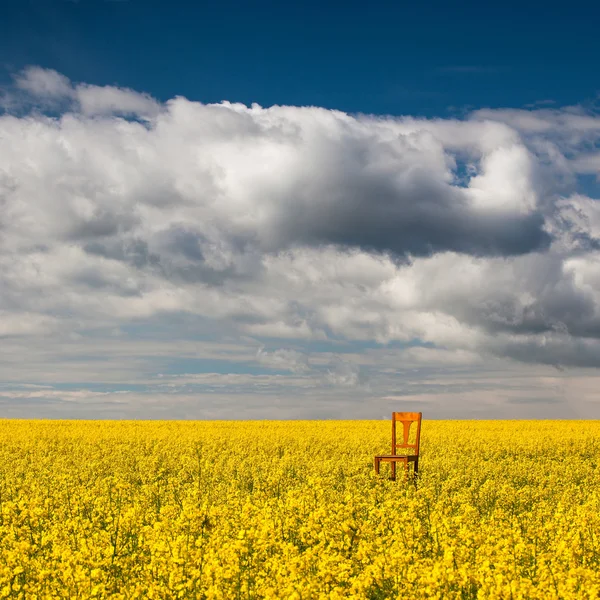 Einsamer Stuhl auf dem leeren Rapsfeld — Stockfoto