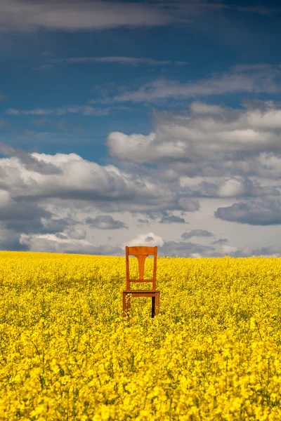 Einsamer Stuhl auf dem leeren Rapsfeld — Stockfoto