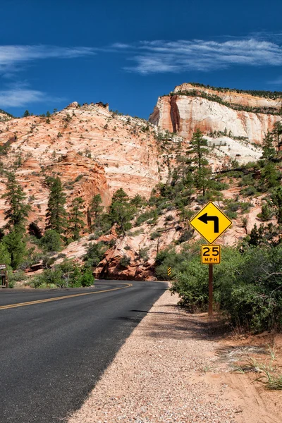 De weg in zion canyon — Stockfoto