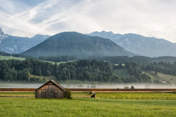 Sur les pâturages en montagne — Photo