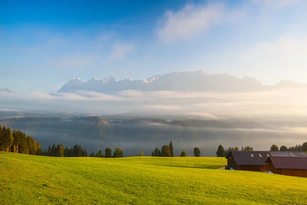 Morning on the mountains — Stock Photo, Image