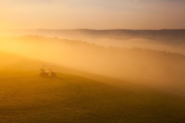 Yeşil golf arabasında boş golf sahası