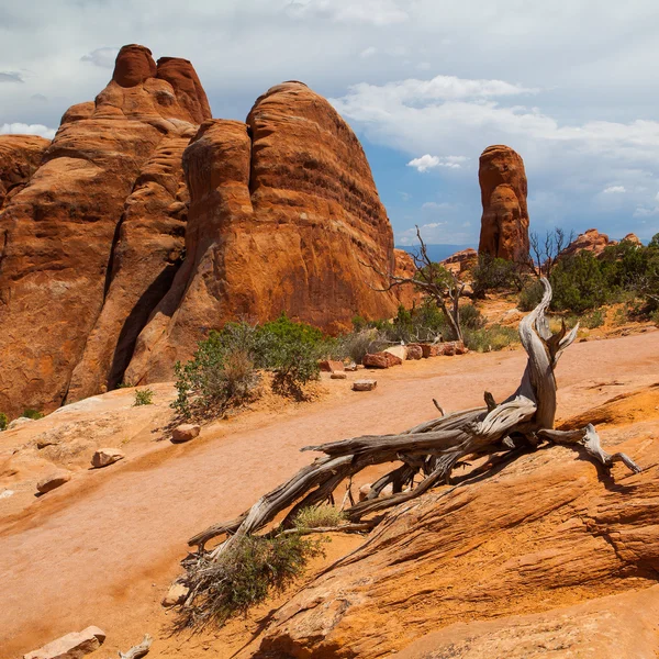 Güzel kaya oluşumları arches Ulusal Parkı, utah, ABD — Stok fotoğraf