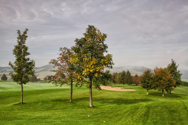On the golf course in the morning mist — Stock Photo, Image