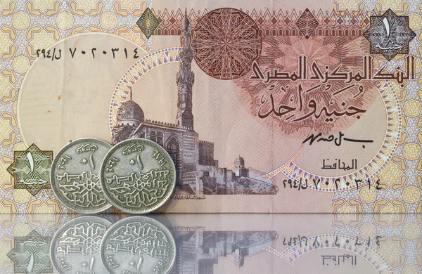 Diferente dinero de Egipto — Foto de Stock