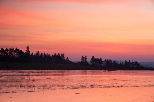 Lansdcape in winter at sunrise — Stock Photo, Image