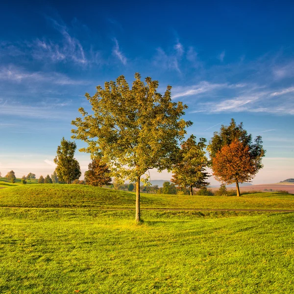 Paesaggio idilliaco d'autunno — Foto Stock