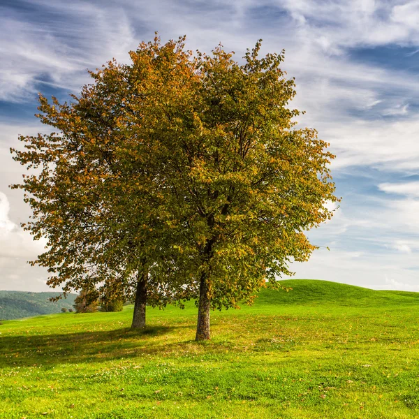 Idyllische herfst landschap op de golfbaan — Stockfoto