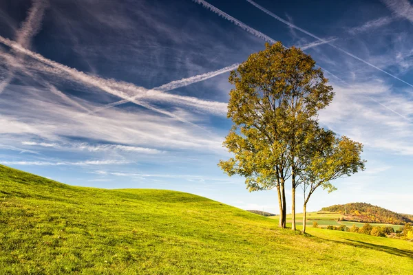 Campo de golfe de outono — Fotografia de Stock