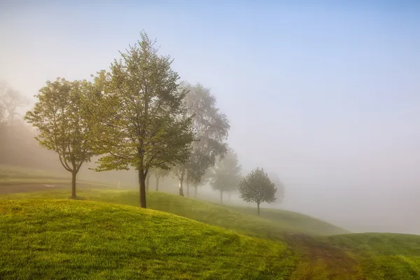 Na névoa da manhã em um campo de golfe — Fotografia de Stock
