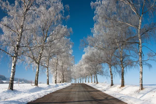 stock image Winter road in sunny day