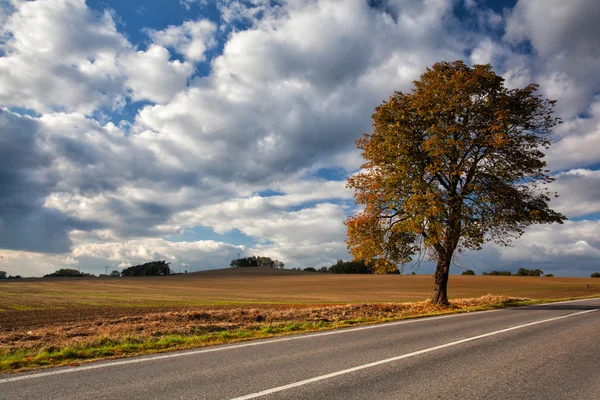 Cenário de outono perto de uma estrada vazia — Fotografia de Stock