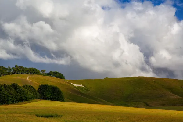 Mystic white horse poblíž avebury — Stock fotografie