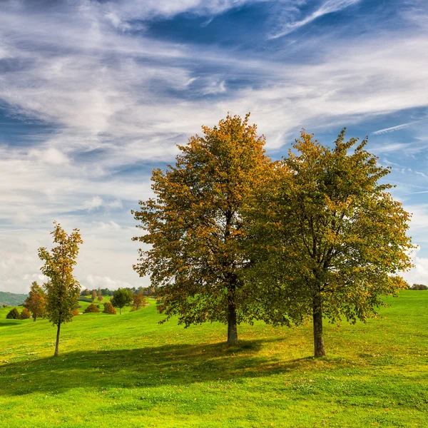 Идиллический осенний пейзаж на поле для гольфа — стоковое фото