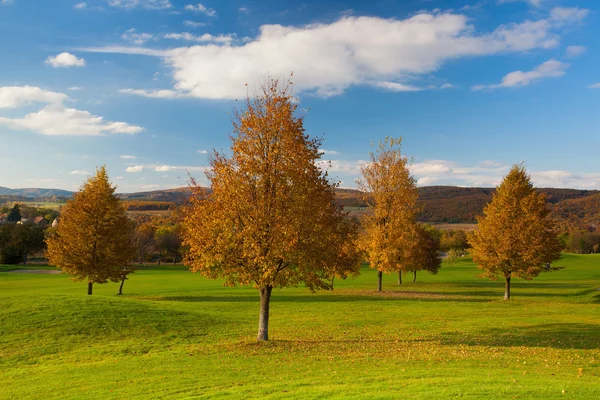 Paesaggio idilliaco d'autunno — Foto Stock