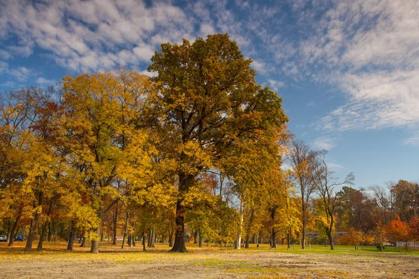 Autunno nel popolare parco Stromovka a Praga — Foto Stock