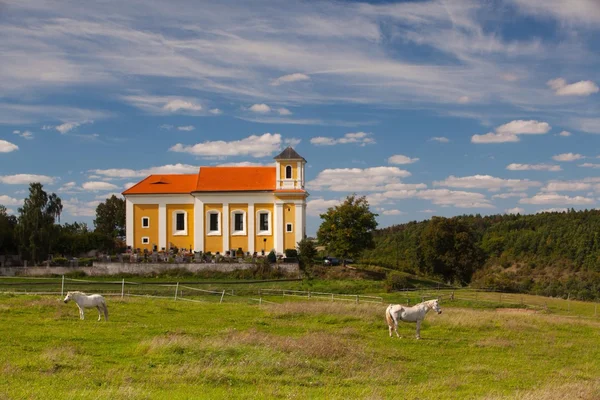 Biały koń, dwa, Kościół, kaplica, cmentarz, pastwiska, religii, chotec, słoneczny, dzień — Zdjęcie stockowe