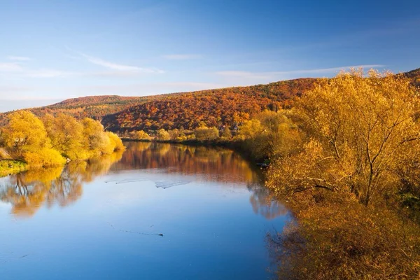 Symmetry, berounka, river, czech republic, autumn, tree, forest, yellow, reflection — стоковое фото