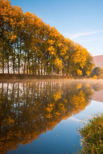 Herfst, rivier, vijver, meer, bomen, ochtend, symmetrie, reflectie,, berounka — Stockfoto