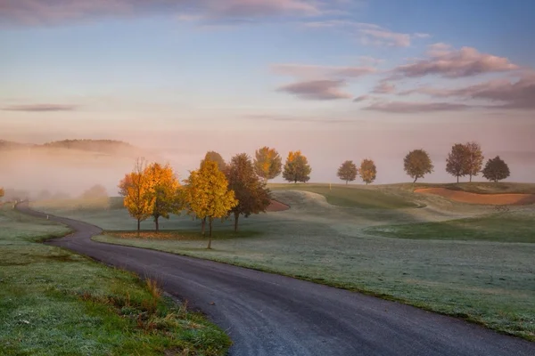Гольф, гольф-поле, курс, дерева, очистити, ніхто, осінь, зелений, спорт, фарватер, бункер, туман, ранок, дорога — стокове фото