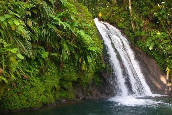 Famous waterfall on Guadeloupe island — Stock Photo, Image
