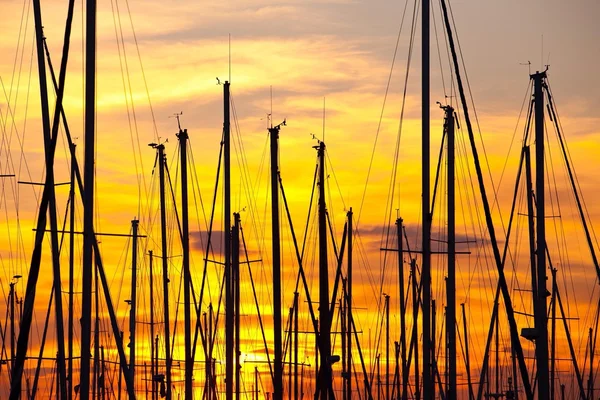 Port, Port, Yachts, Bateaux, Marseille, Coucher de soleil, France — Photo