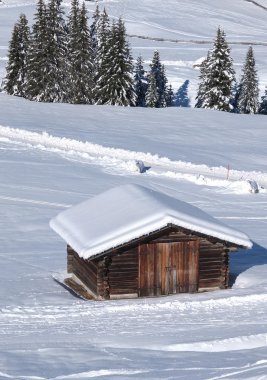 tipik ahşap challet dolomites içinde