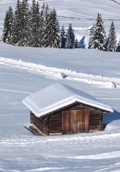 tipik ahşap challet dolomites içinde