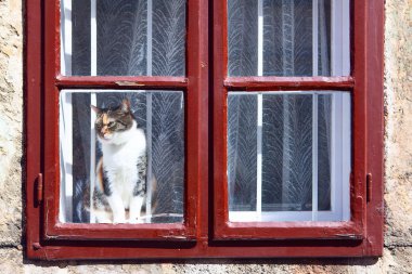 Budapeşte'de bir pencere boyu
