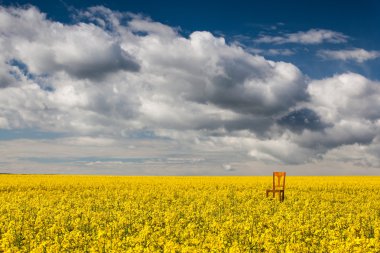 Yalnız sandalye boş tecavüz alan