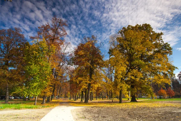 Podzim v populární parku stromovka v Praze — Stock fotografie