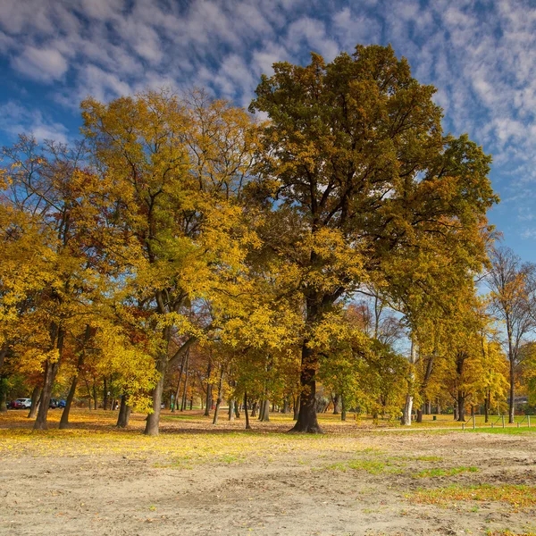 Hösten i den populära parken stromovka i Prag — Stockfoto