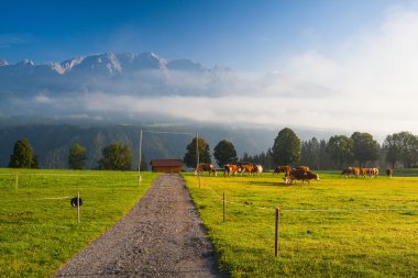 mera üzerinde sabah sis içinde