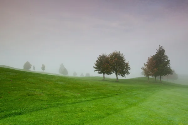 No campo de golfe na névoa da manhã — Fotografia de Stock