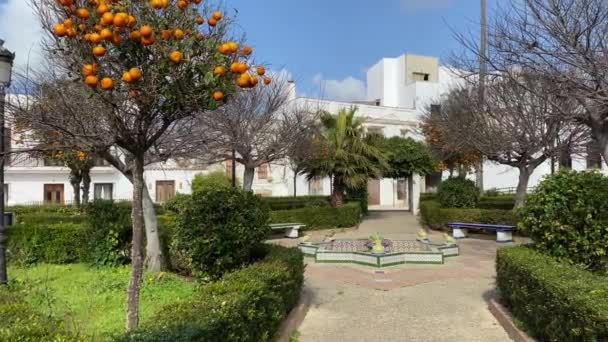 Detalj Public Library Parken Plaza Santa Maria Byggnad Tarifa Gamla — Stockvideo