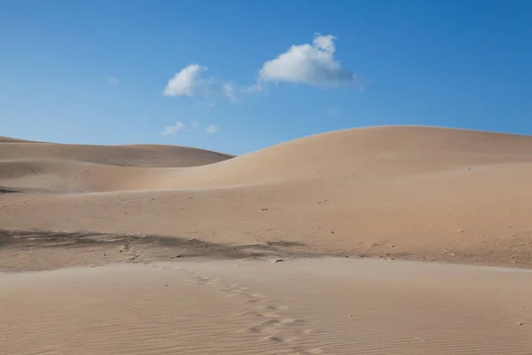 Dunes Bolonia Andalusia Spain Dune Metres High 200 Metres Wide — Stock Photo, Image