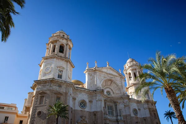 Botten Utsikt Över Katedralen Cadiz Det Romersk Katolsk Kyrka Cadiz — Stockfoto